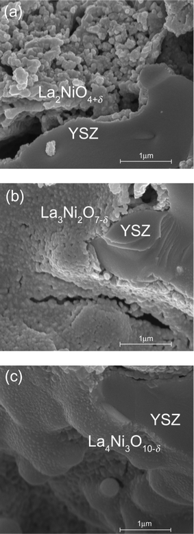 SEM images of the (a) La2NiO4+δ–YSZ, the (b) La3Ni2O7−δ–YSZ, and the (c) La4Ni3O10−δ–YSZ annealed at 1123 K.