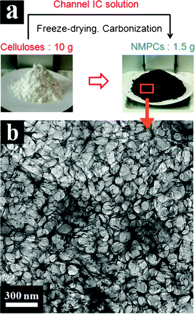 (a) Schematic processing image of gram-scale NMPCs fabricated from cellulose and (b) TEM image of NMPCs-6 wt%.