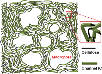 Schematic image of the freeze-dried channel ICs.