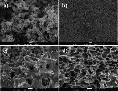 Scanning electron microscopy of imprinted materials. (a) MIP; (b) and (c) top surface and (d) cross-section of PMMA MIP.