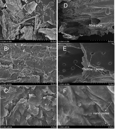 SEM images of the raw (A to C) and acid-treating (D to F) T. rotundifolium herb.