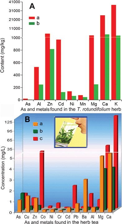 Distribution of As and metal content (A) embedded in the raw (a) and acid-treating herb (b) and variation of As and metal concentration (B) found in the raw water (a), the medicinal tea immersed in 1% of the acid-treated herb (b) and that immersed in 1% of the raw herb (c).