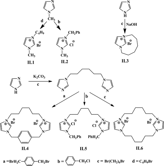 Schematic representation for the synthesis of IL1–IL6.