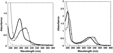 (left) The UV-vis spectra of (DO3A)2-BMP (solid), (Gd-DO3A)2-BMP (dashed, ●), and the mixture of (Gd-DO3A)2-BMP with 100-fold of DTPA after a storage at room temperatures for more than 42 days (dashed, ▲) are shown. (right) The spectra of (DO3A)2-BMQX (solid), (Gd-DO3A)2-BMQX (dashed, ●), and the mixture of (Gd-DO3A)2-BMQX with 100-fold of DTPA after 42 days at room temperatures (dashed, ▲). The results suggest that DTPA could not remove Gd3+ from the agents. DTPA and Gd-DTPA (dotted lines in both figures) have no absorption at this region.