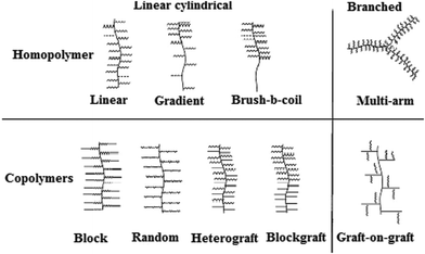 Classification of molecular brushes by branching topologies and chemical composition of side chains.65,66