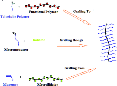 Grafting methods for preparing molecular brushes by “grafting to”, “grafting through”, and “grafting from”. “Grafting to” involves the coupling of individual side chains to a common backbone polymer. “Grafting through” consists of the polymerization of macromonomers. “Grafting from” involves growth of the side chains from a well-defined backbone macroinitiator.299