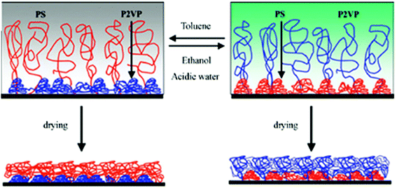 Schematic diagram showing switching behavior of binary polymer brushes upon treatment with selective solvents.148