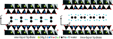 Structure of 1WL and 2WL of Na-hect projected along [100] indicating in particular the location of the interlayer cations.