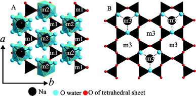 Position of hydrated Na+ interlayer cations relative to the lower hexagonal cavity; A: 2WL hydrate: the positions of m1 and m2, B: 1WL hydrate: the position of m3 along the [001] projection. Please note that non-occupied m3 sites host water molecules coordinated to Na+ that are in contact with the upper tetrahedral sheet.