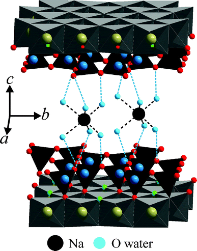 Hydrogen bonding between interlayer [Na(H2O)6]+ and tetrahedral sheets fixing the stacking order in 2WL Na-hect.