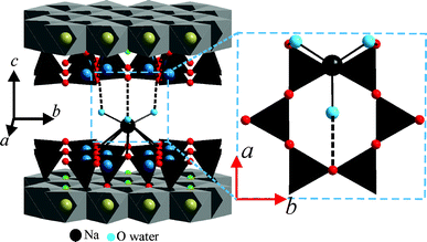 Tentative coordination of interlayer Na+ and connecting mode of adjacent silicate layers for 1WL of Na-hect.