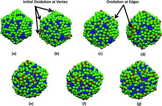 Snapshots showing initial oxidation of 2.5 nm diameter Ni–Al alloy nanoparticles at 300 K and 2O2 pressure. Configurations at (a) initial (b) 1 ps (c) 5 ps (d) 10 ps (e) 20 ps (f) 30 ps (g) 40 ps. Oxidation is initiated at the low coordinated sites such as corners and edges. The Al atoms are shown in green, Ni in blue, and oxygen in red.