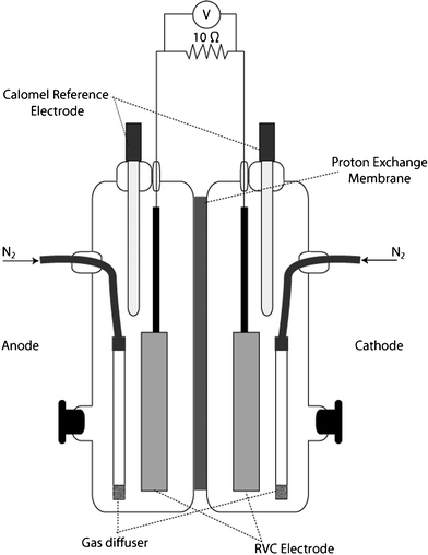 Side-view schematic of fuel cell reactor used in fumarate and chromate biocathode studies.