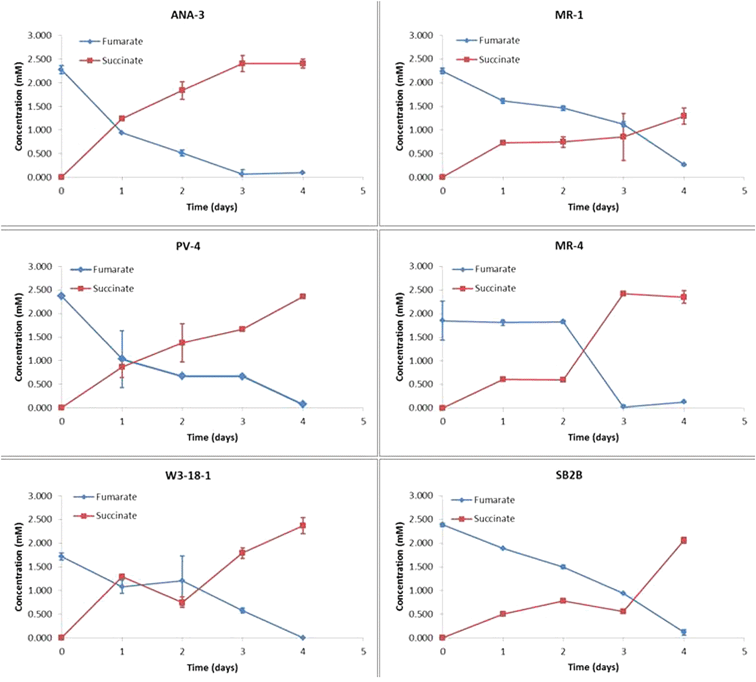 Fumarate reduction observed under open circuit conditions with each of the Shewanella strains.