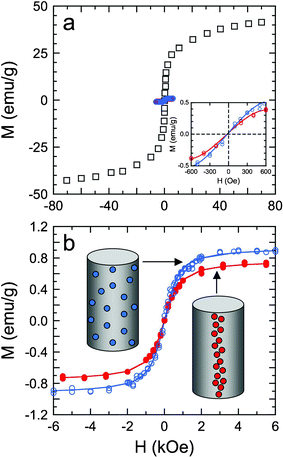 Magnetization (M) hysteresis curves at 300 K as a function of the magnetizing field strength (H) for SPIONs measuring 17.6 nm in diameter. In (a), the hysteresis curves are measured from unembedded SPIONs (□), as well as randomly dispersed and magnetically aligned SPIONs in electrospun PCL microfibers (blue and red, respectively). The inset shows magnetization hysteresis curves recorded for the embedded SPIONS at low fields and ambient temperature. In (b), the hysteresis curves from the SPIONs embedded in PCL microfibers (see the corresponding diagrams) are fitted to eqn (2) in the text (solid lines) to discern the saturation magnetization and mean dipole moment from each dataset.