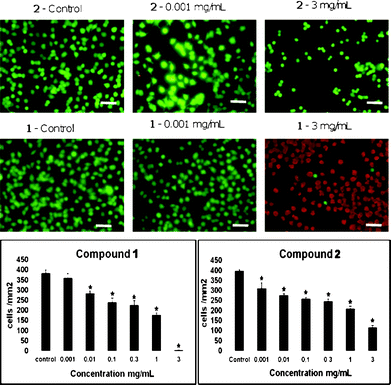 Toxicology data for compounds 1 and 2. The effects of the preparations of 1 and 2 on PC-12 cell viabilities (mean ± standard error of the mean (SEM)) after 24 h in culture and representative images of untreated (control) and treated PC-12 cells (objective 40×). Statistically significant reductions in the viability of the cultures treated with the calixarene preparations compared to the untreated cells are indicated by * (p ≤ 0.05). Scale bar = 100 μm.