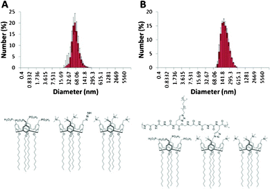 DLS data for (a) vesicles prepared from an 8 : 8 : 1 ratio of 1 : 2 : 4, and (b) the same system wrapped in a peptide–ethylene glycol coat.