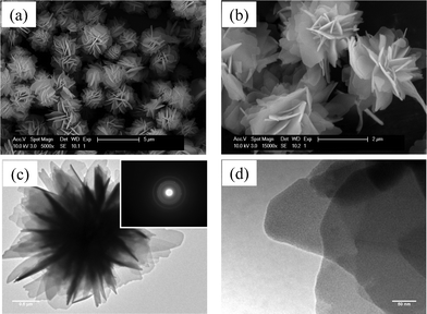 SEM and TEM micrographs of as-grown FLS-precursor particles. (Inset: selected area diffraction (SAD) patterns.)