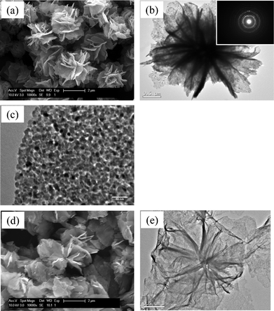 SEM and TEM micrographs of (a), (b), (c) FLS–Fe3O4 and (d), (e) FLS–Fe particles. (Inset: selected area diffraction (SAD) patterns of FLS–Fe3O4 particles.)