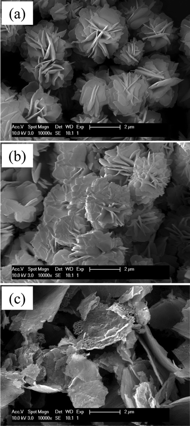 Change in the morphology of the reaction products as a function of the pressure; (a) ∼0.2 MPa, (b) 0.3 ∼ 1 MPa, and (c) 1 MPa.