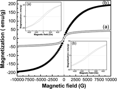 Magnetic hysteresis loops of (a) FLS–Fe3O4 and (b) FLS–Fe particles.