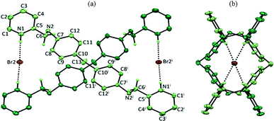 ORTEP diagram depicting the interaction of Br2 anions with the intertwined H4L ligand moiety (symmetry transformations used to generate equivalent atoms ‘i’ is; −x + 1/2, y, z; 30% probability factor for the thermal ellipsoids) (a) side view (b) top view down a-axis.