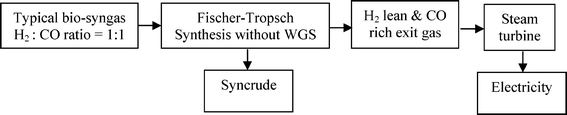 Flow chart of BTL with co-electricity production.