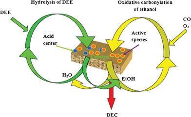 The possible mechanism of coupling reaction with ethanol and DEE feeding.