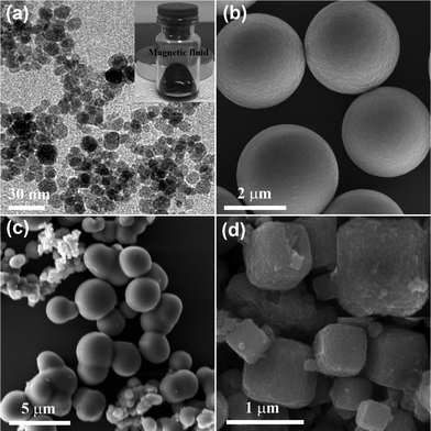 SEM images of the samples prepared using different amounts of additives and other additives (a) 0 mL OA, (b) 1 mL OA, (c) 5 mL DAM, (d) 2.5 mL OA and 2.5 mL DAM (the inset in Fig. 8a exhibits a magnetic response of dispersion of the ultrafine nanoparticles).