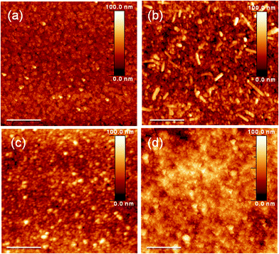 AFM images of (a) the bare ITO substrate and the (b) MoO3, (c) V2O5, and (d) WO3 films. Scale bar: 400 nm.