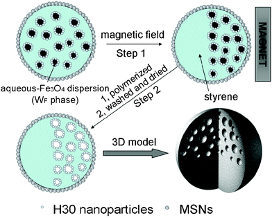 Schematic representation of our method for the preparation of Janus microspheres from a WF/O/W emulsion template.