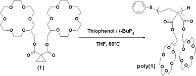 Monomer and polymer synthesis.