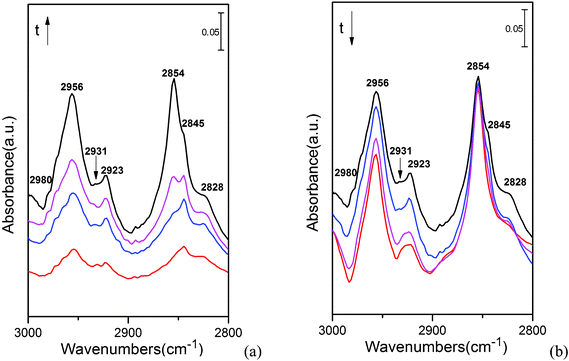 IR spectra recorded during transient-response experiments: (a) catalyst exposure to CH3OH for 20 min; (b) He flushing for 30 min.