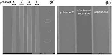 SEM planar views of the produced PDMS/TiO2 microchannels: (a) four parallel capillaries and the integrated ruler on the right side; (b) high magnification image of the two central microchannels.