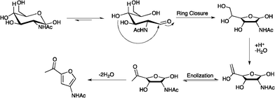 Possible mechanism for the formation of 3A5AF from NAG.