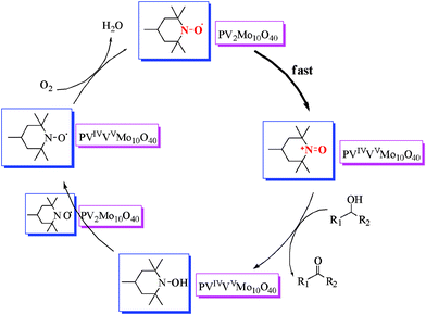 Proposed mechanism of the oxidation.