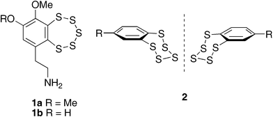Structures of planar chiral benzopentathiepins; varacin 1a, lissoclinotoxin A 1b, and side-on view showing puckered ring 2.