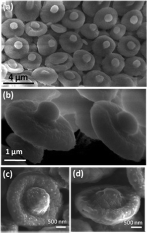 FESEM images of Ball-in-bowl forms of MnSO4 evolved during calcination of the composite film at 470 °C for 5 h. (a) & (c) showing the top-view, (b) & (d) showing the side-view of the bowls.