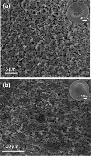 (a) Gold-coated MnSO4 bowls (b) Gold bowls formed after the removal of MnSO4 salt core.