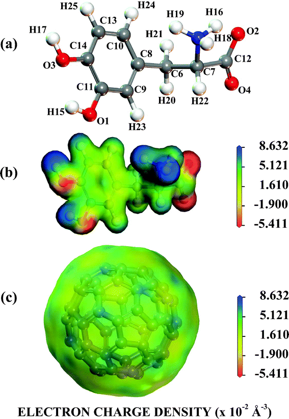 The NH3+,COO− protonated LDOPAc. (a) Its most stable isolated converged structure; (b) the electron density of its most stable isolated converged structure projected onto an electrostatic potential isosurface; (c) the electron density of the C60 most stable isolated converged structure projected onto an electrostatic potential isosurface.