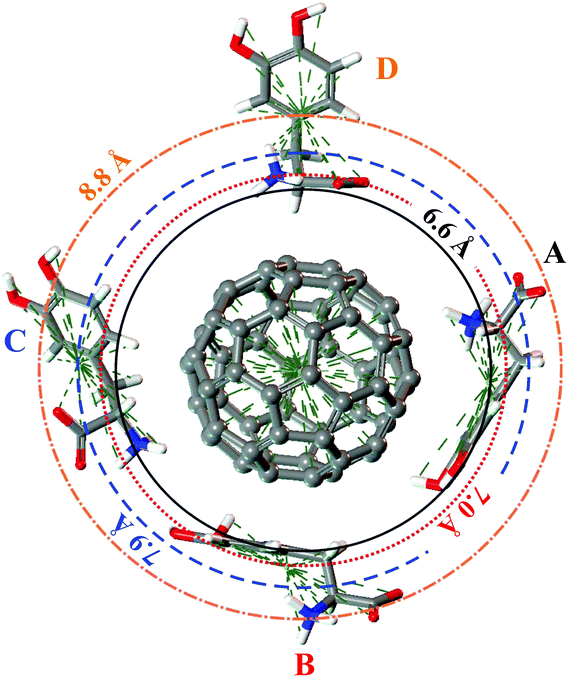 A, B, C and D configurations of the four levels adsorption of LDOPAc on C60. The DFT-LDA calculated “orbits” are represented by circles of radii 6.6 Å (solid), 7.0 Å (dotted), 7.9 Å (dashed) and 8.8 Å (dotted dashed).