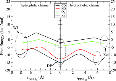 Free energy profiles for the entrance of the ligand into the binuclear center through the hydrophobic channel and its exit through the hydrophilic channel in ba3-ligand systems. The origin of the reaction coordinate (rDP – Lig) is placed at the minimum of DP cavity.