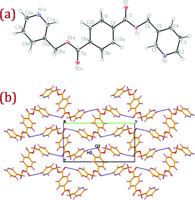 (a) ORTEP diagram of L1 with atom numbering scheme (40% probability factor for the thermal ellipsoids). Additional "a" letters in the atom labels indicate that these atoms are at equivalent position (3 − x, −y, 1 − z); (b) packing diagram of L1 with hydrogen bonding interactions viewed down a-axis showing the hydrogen bonded two dimensional network. Atom labelled as O2 is at equivalent position (3/2 − x, 1/2 + y, 3/2 − z).