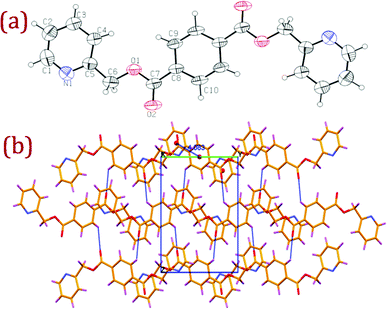 (a) ORTEP diagram of L2 with atom numbering scheme (40% probability factor for the thermal ellipsoids); (b) packing diagram of L2 with hydrogen bonding interactions viewed down a-axis showing the hydrogen bonded two dimensional network.