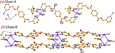 ORTEP diagram of neutral single chain [Ag(L1)(CF3SO3)]n (chain A) and cationic double-chain [Ag(L1)(μ2–CH3CN)]n (chain B) present in complex 1 with atom numbering scheme (40% probability factor for the thermal ellipsoids). Atoms labelled as prime, i.e., Ag1′, Ag2′ and N3′ are at equivalent position (−1 + x, y, 1 + z), Atom labelled as N5′′ is at equivalent position (−x, −y, −z).