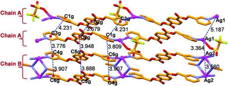 View of the different types of 1D chains A (neutral single strands) and B (cationic double strand) along [100] in complex 1, showing the coordination environments of Ag1 and Ag2 (cyan spheres) in the chain as well as intra/inter chain π⋯π stacking (blue dashed lines) and Ag⋯Ag (blue dashed lines) interactions.