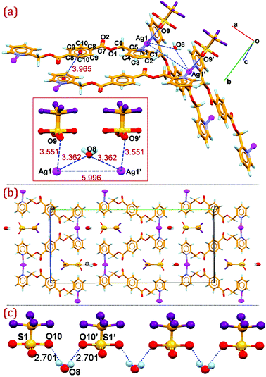 (a) Mercury diagram depicting the non-bonding molecular interaction between the adjacent strands in 2 (intermolecular distances are presented in the inset); (b) packing diagram of 2 viewed down the a-axis showing the corrugated arrangement of the cationic strands and the orientation of the triflate anions and water molecules within the clefts; (c) O–H⋯O hydrogen bonding interactions between the lattice water molecules and triflate anions in 2. Atoms labelled as prime are at equivalent position (−x, y, 3/2 − z).