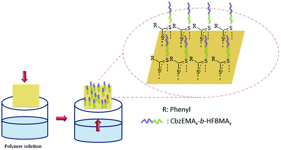 Schematic representation of the generation of a polymer film on gold-coated silicon substrate.