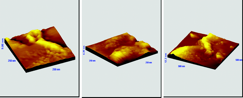 AFM 3D-graph topography images of a gold substrate immersed in a THF solution of CbzEMA52-b-HFBMA69 (2 g L−1) at room temperature for 24 h.