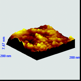 AFM 3D-graph topography images of a gold substrate immersed in a THF solution of CbzEMA52-b-HFBMA69 (2 g L−1) at room temperature for 48 h.